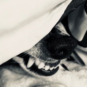 IM STILL HERE WAITING FOR YOU TO MAKE ME AN OFFER